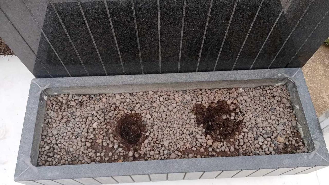Ladri di fiori in azione al cimitero