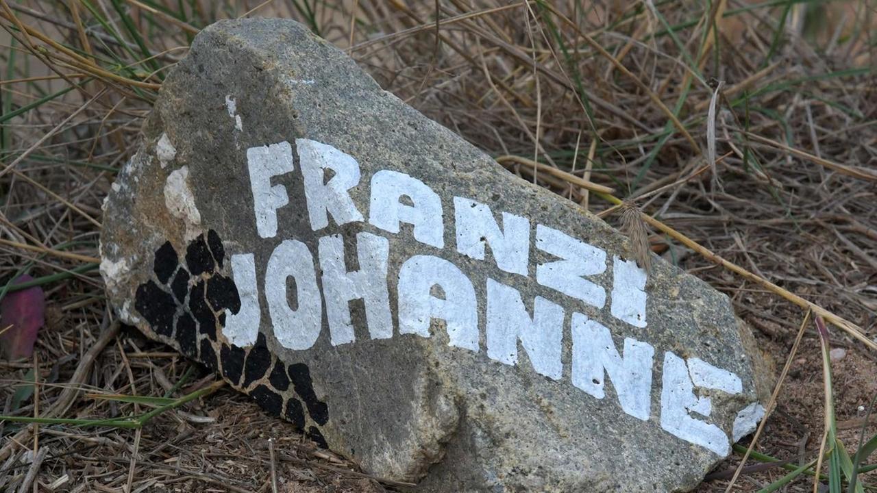 Olbia, rocce imbrattate: i turisti vandali hanno un nome 