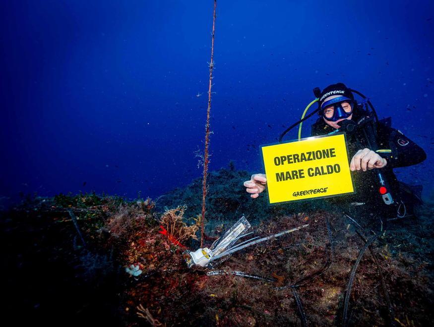 Il mare dell'Elba è sempre più caldo: allarme di Greenpeace 