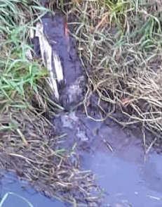 Perdita da un serbatoio fossi Dogaia e Quadrelli inquinati dal gasolio 
