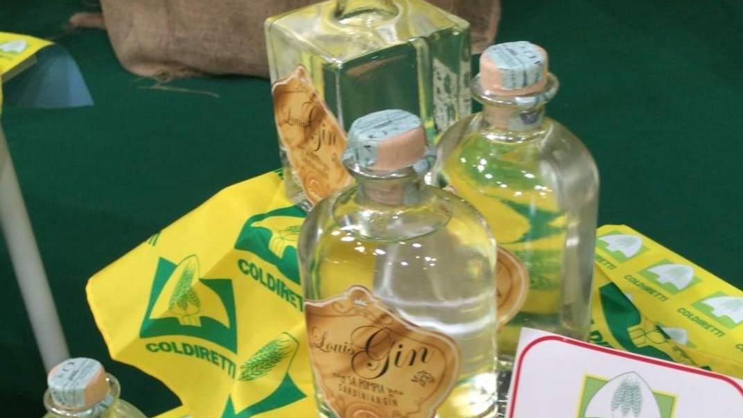 Il gin sartoriale sardo spopola nei mercati dalla Pompia al Lampus