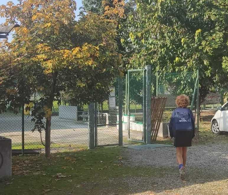 Castelfranco. La colonia dei conigli scende in campo ma al Pedretti lascia buche ed escrementi 