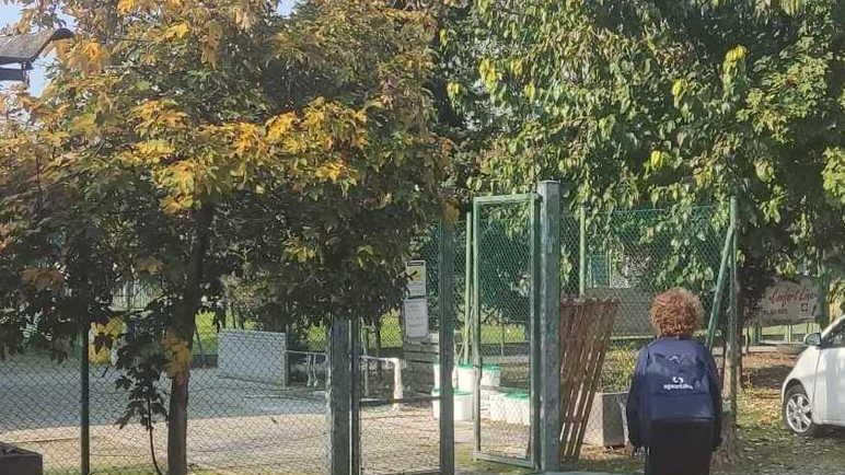 Castelfranco. La colonia dei conigli scende in campo ma al Pedretti lascia buche ed escrementi