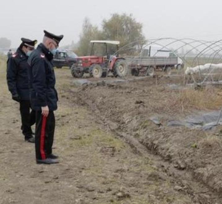 Mirandola, sparano ad una lepre, centrano due operai: gli addetti feriti al volto e al braccio 