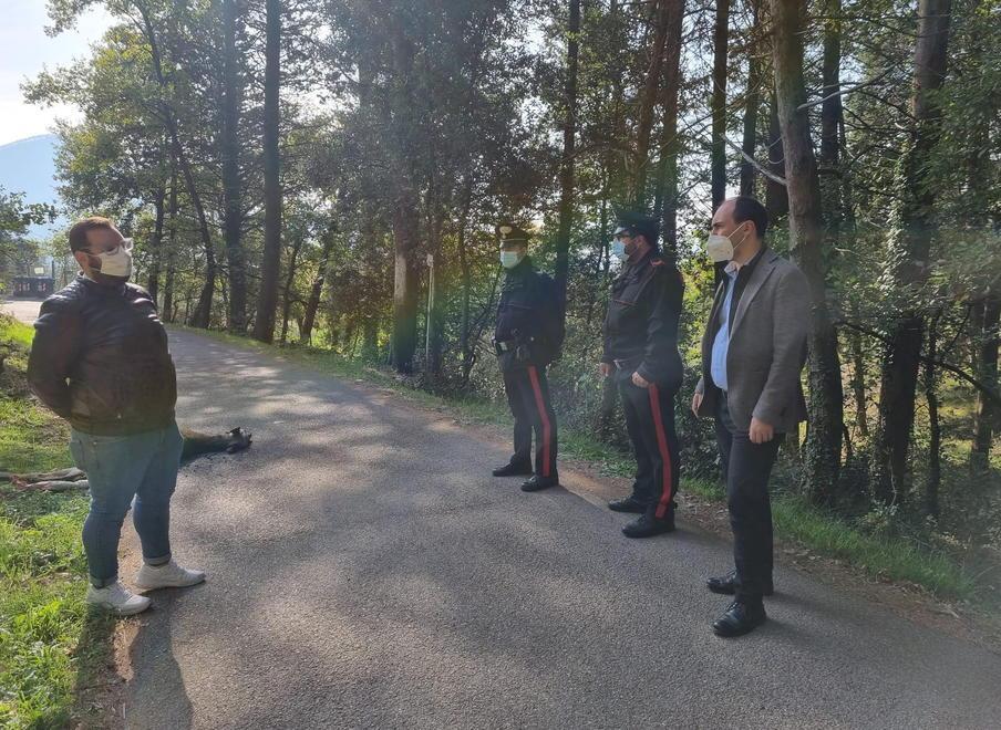 Cervo sbranato da un branco di lupi vicino alle case
