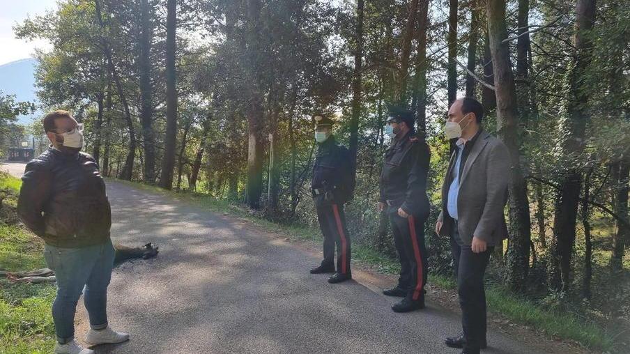 Cervo sbranato da un branco di lupi vicino alle case