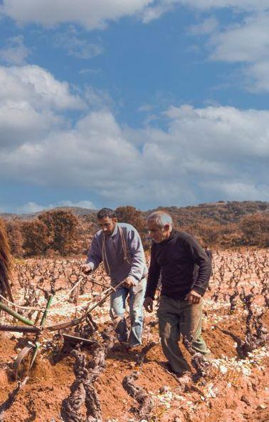 Alta Marmilla regno della fotografia 