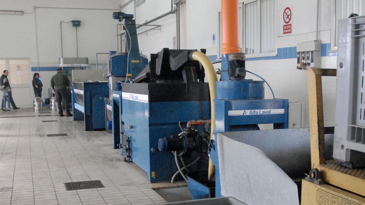 Riparte l’Oleificio Gallura alle spalle Covid e siccità