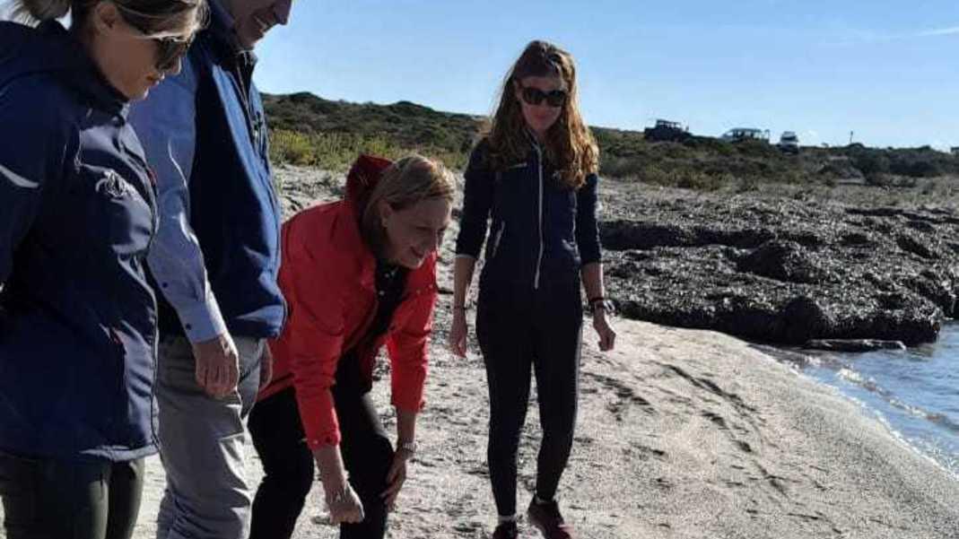 La tartaruga Agostina curata e liberata in mare
