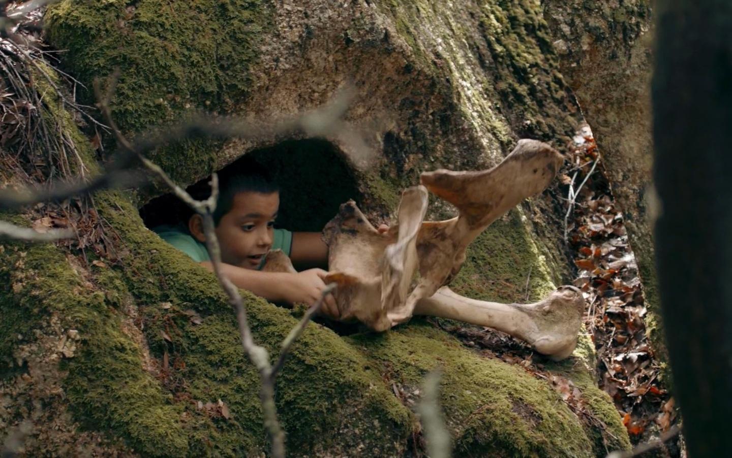 La vita di Kiodo, pastorizia e poesia tra l’isola e il Friuli 