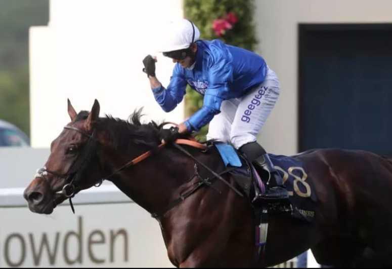 Marcolinus, da Silì ad Ascot il fantino campione del mondo 