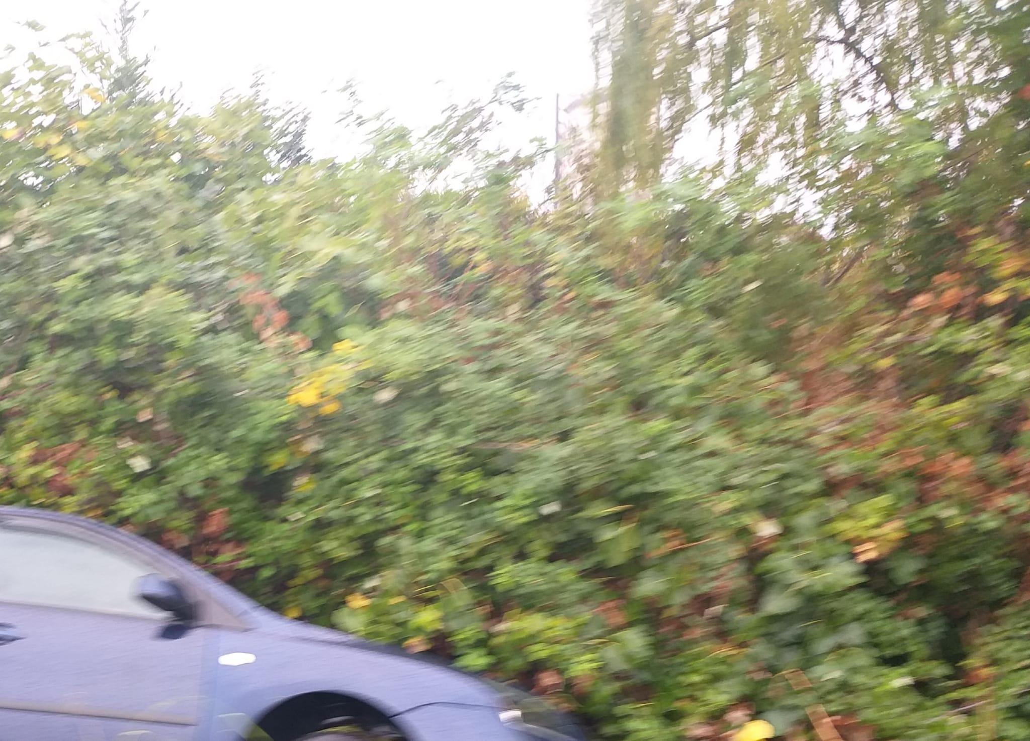 L'auto nella scarpata