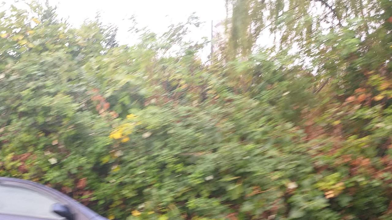 L'auto nella scarpata