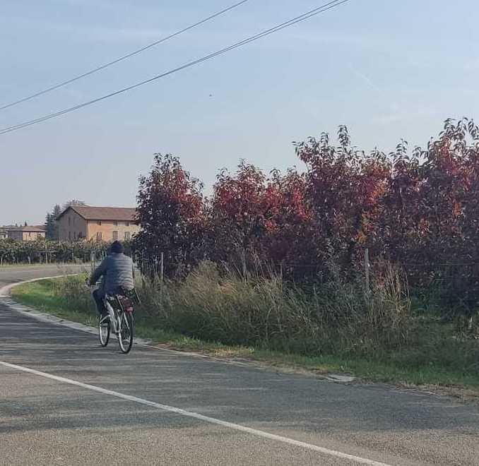 Savignano, «Rubano borsoni di frutta, adesso è troppo» 