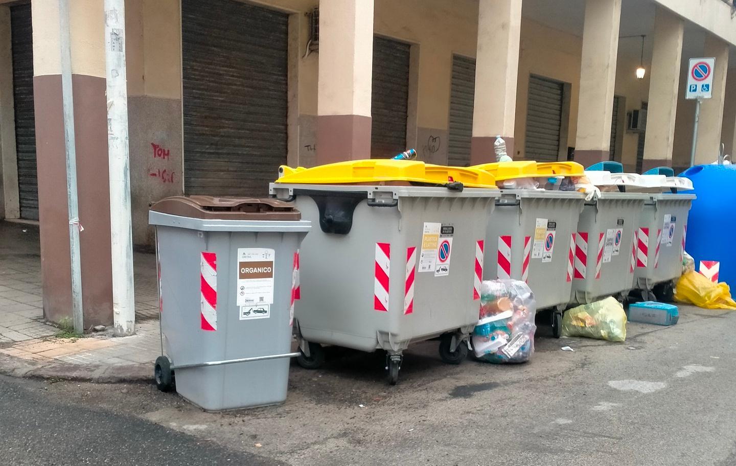 I cassonetti dimenticati della domenica 