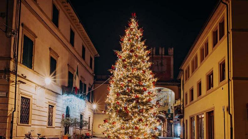 Natale a Camaiore: arrivano le luminarie e un albero gigante in piazza XXIX maggio