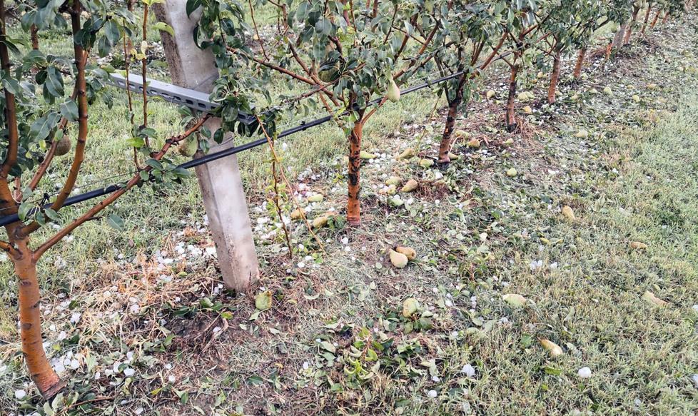 Calamità climatiche: migliorare la gestione dei rischi in agricoltura