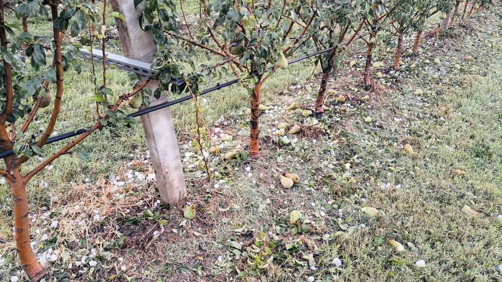 Calamità climatiche: migliorare la gestione dei rischi in agricoltura