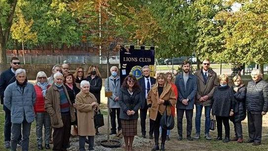 Piantato un acero rosso donato dal Lions
