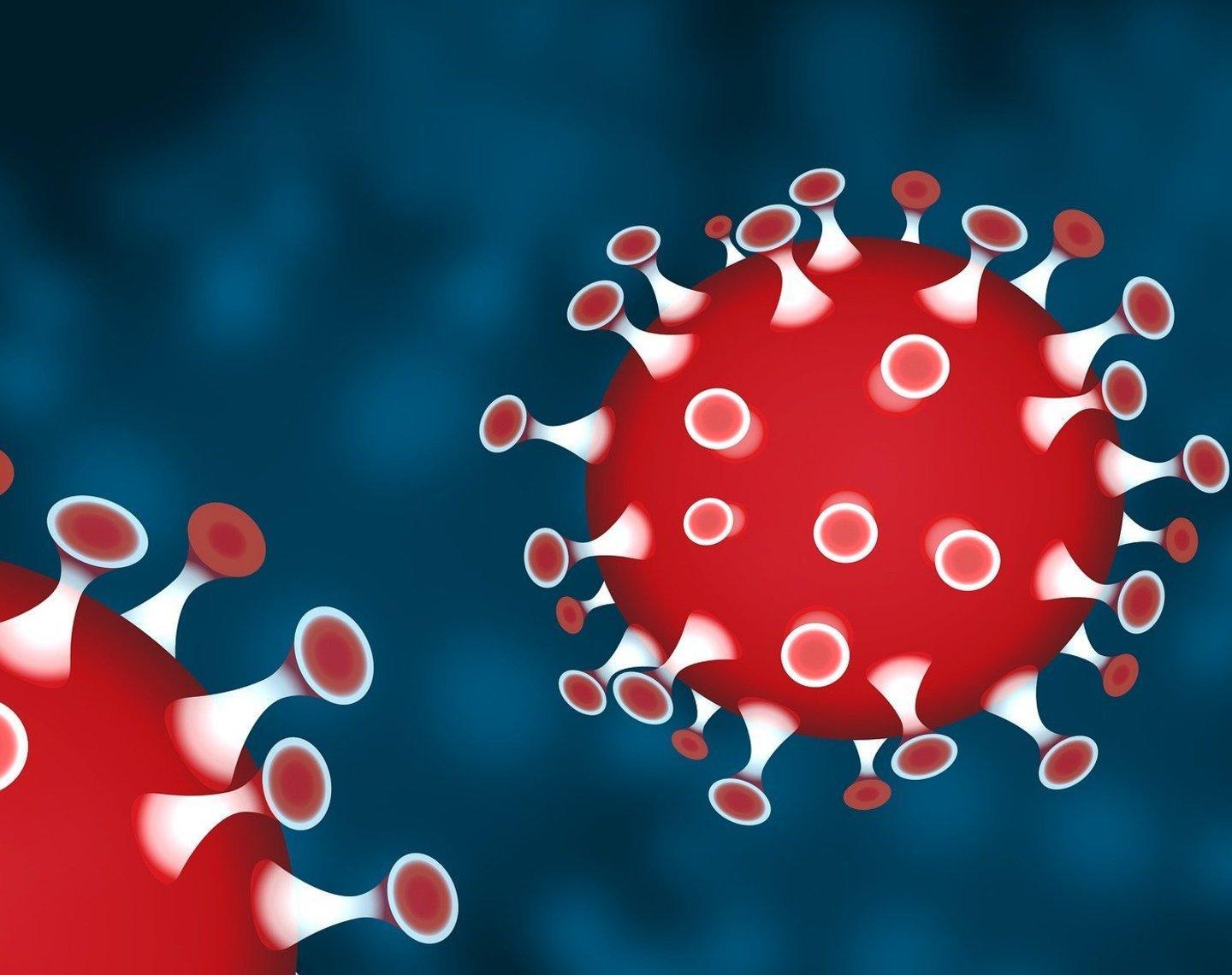 Dentro il ciclo della paura, le città ai tempi del Covid 