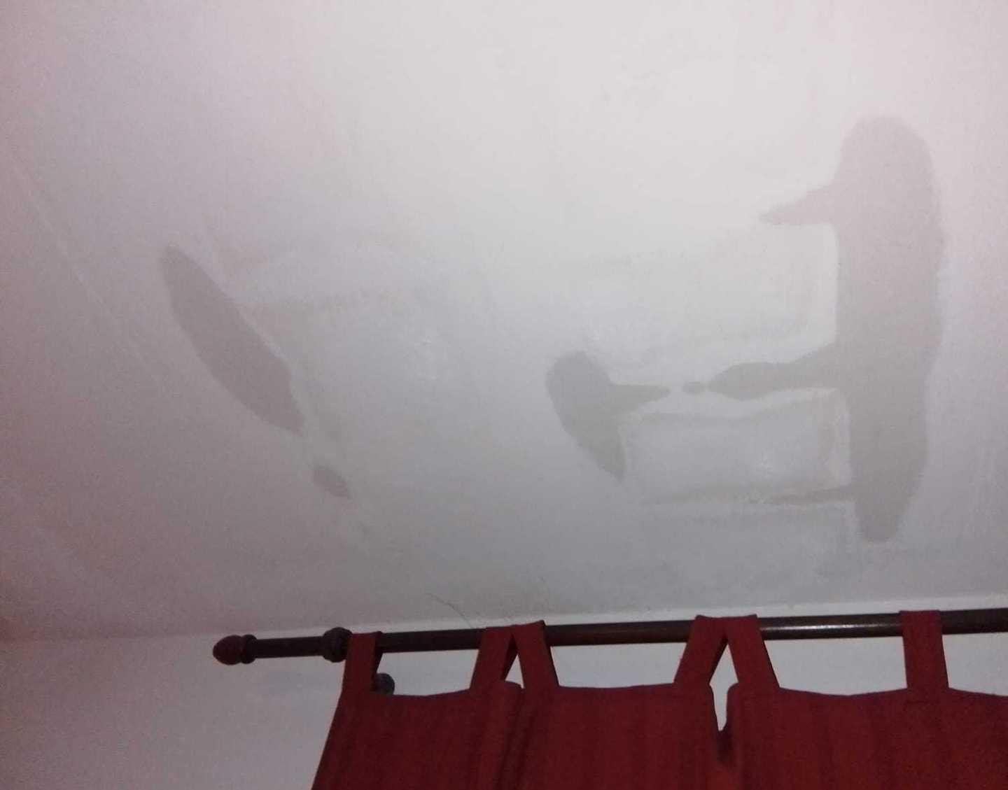 Piove dal soffitto nelle case Area 