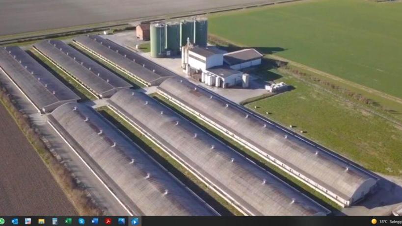 «Nessun ampliamento delle stalle Biopig vuole tornare a 11.796 suini»