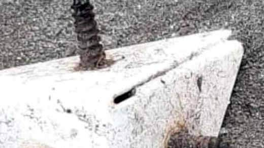 Area per cani di via Spina pericolosa Libera Comacchio: «Va custodita»