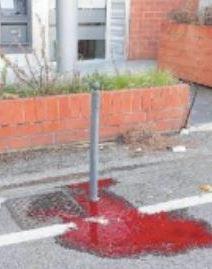 Aveva dei precedenti per lesioni la donna che ha ucciso l’anziano
