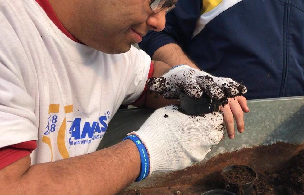 Disabili ma con lo stipendio Nelle coop in mille al lavoro 