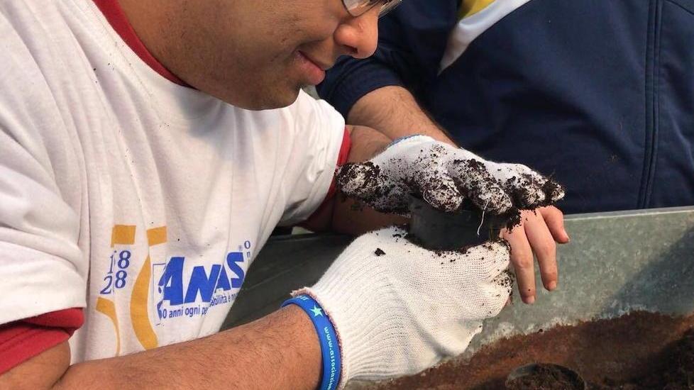 Disabili ma con lo stipendio Nelle coop in mille al lavoro