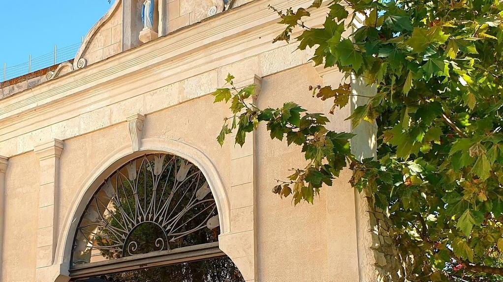 Giornate Fai dedicate alle scuole
