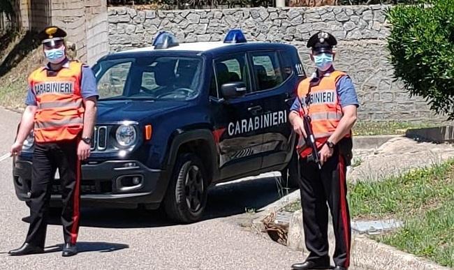 Bottidda, attentato contro un centro di addestramento per cani
