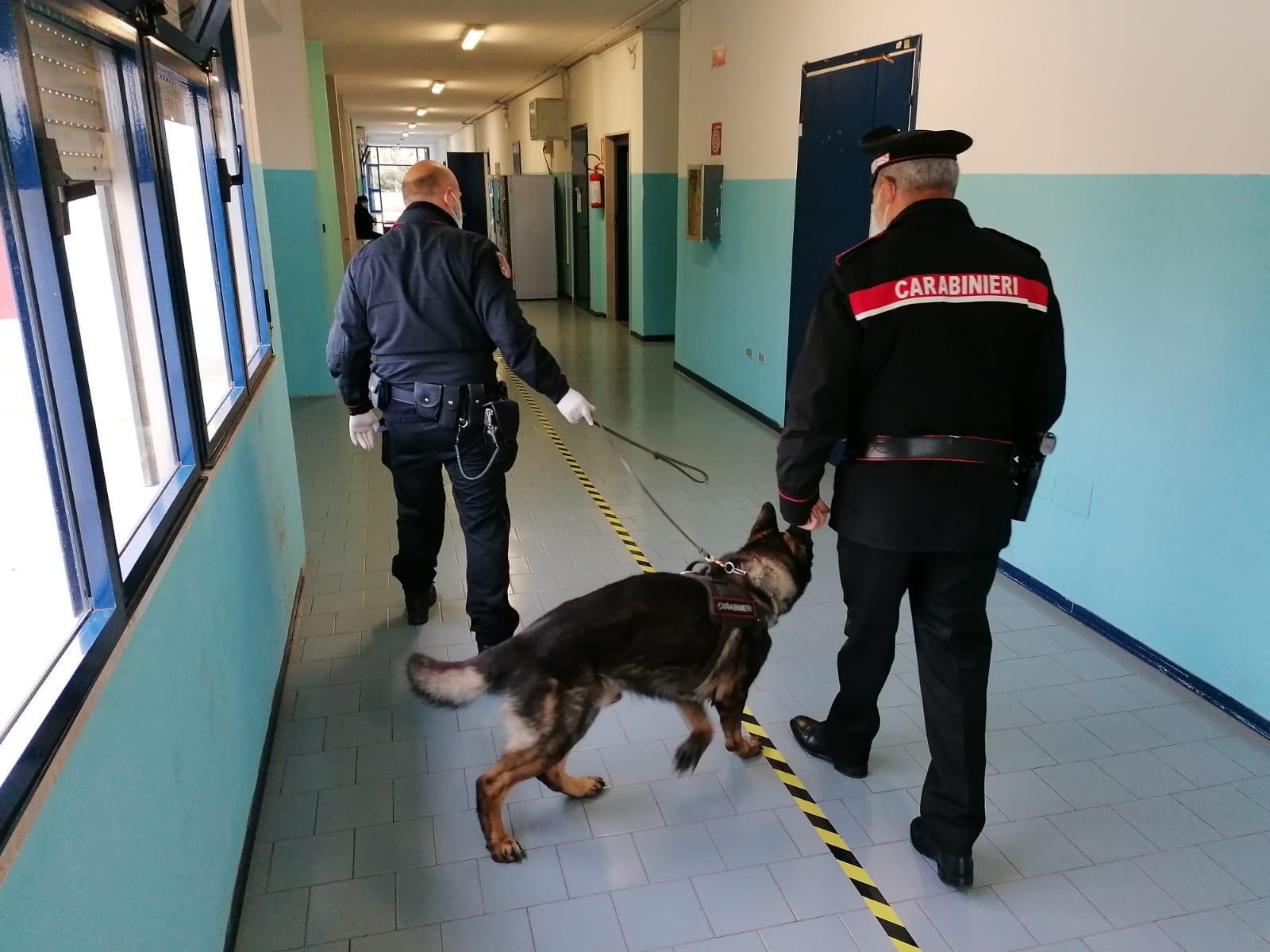 I cani anti-droga nella scuola di Follonica