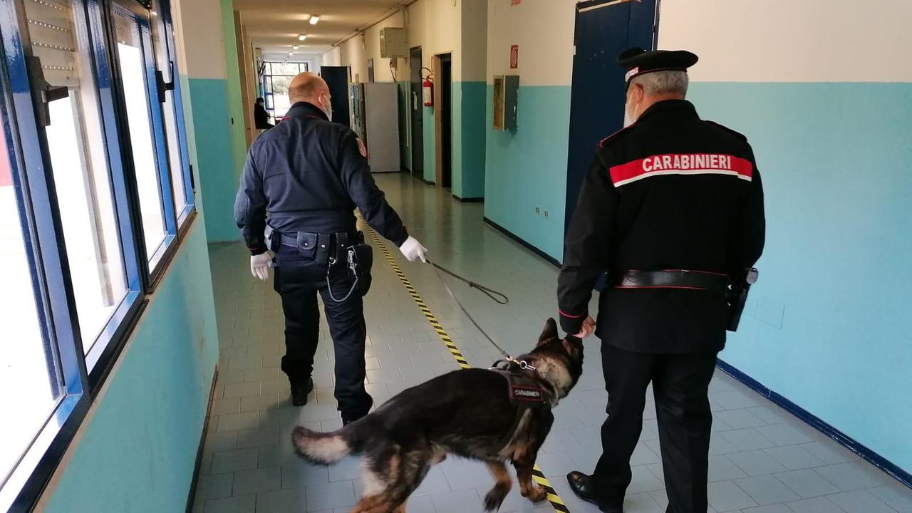 I cani anti-droga nella scuola di Follonica