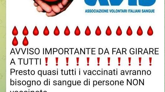 Volantini fake con logo di Avis per screditare la vaccinazione