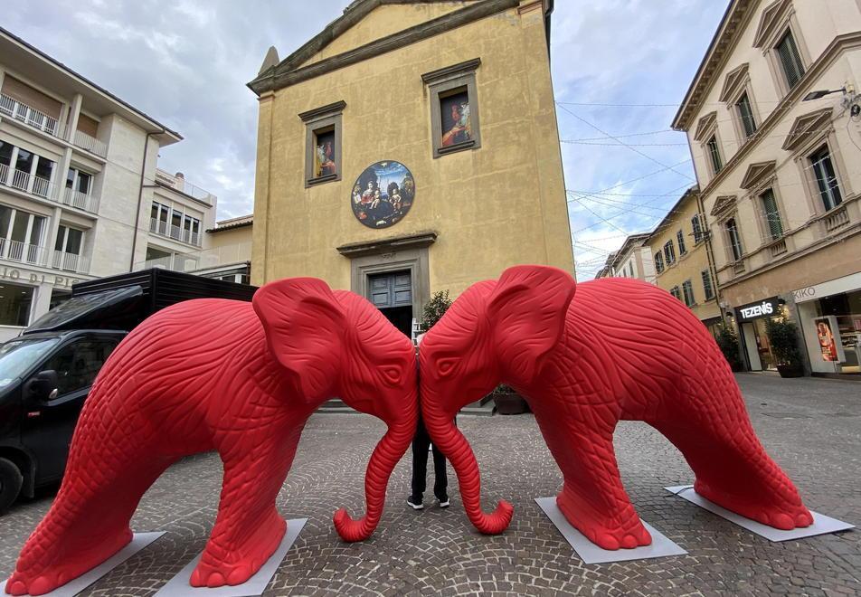 Tutti pazzi per lo zoo colorato Pontedera il regno dei selfie 