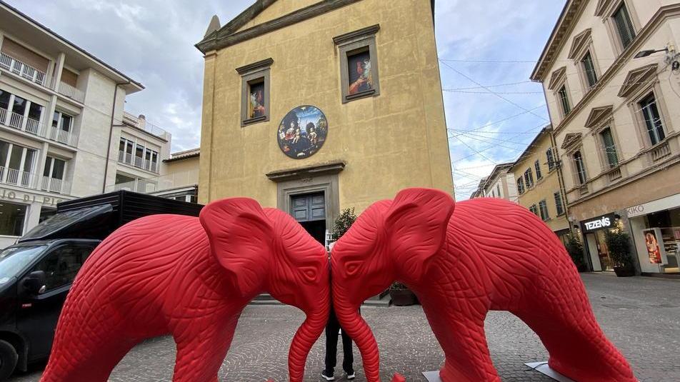 Tutti pazzi per lo zoo colorato Pontedera il regno dei selfie