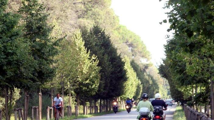 Il viale dei Tigli a Viareggio chiuso da Villa Borbone a Torre del Lago: ecco perché