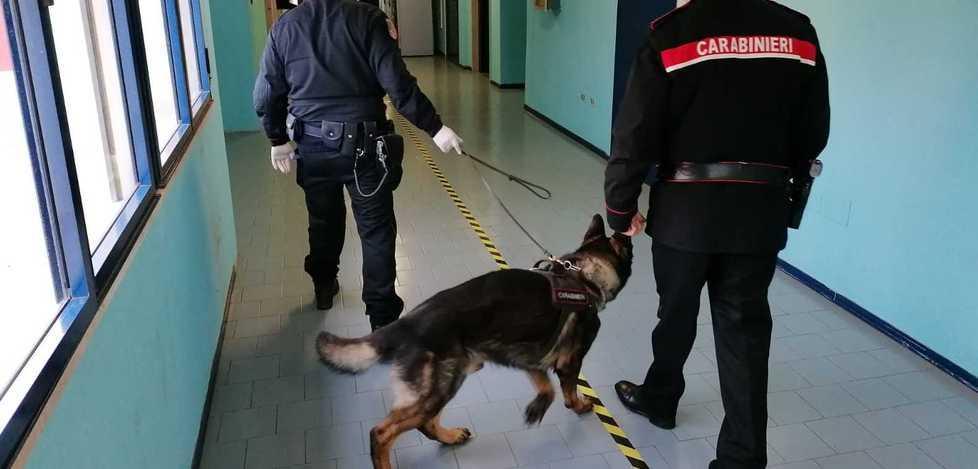 A scuola arrivano i cani-antidroga Trovato hashish 