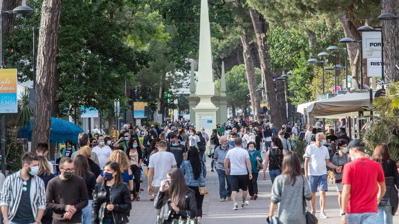 Taglio alberi, si attende Il comune ai privati: in futuro più diligenza