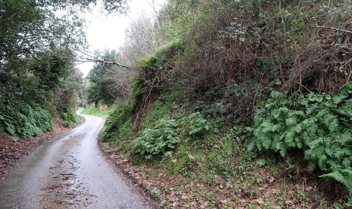Fondi regionali per sistemare la strada “eccia” di Bortigiadas