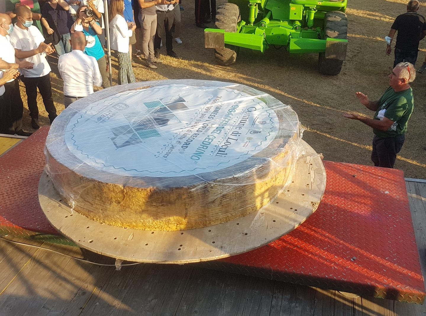 Il pecorino da record di Loculi