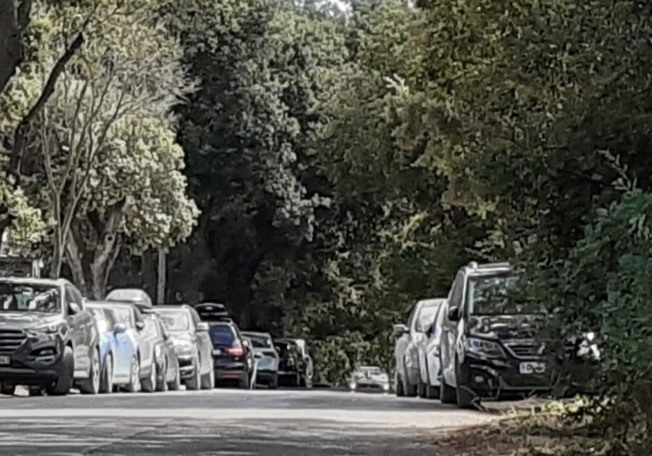 Parcheggio selvaggio sulla Bolgherese, eppure non mancano gli spazi per la sosta 