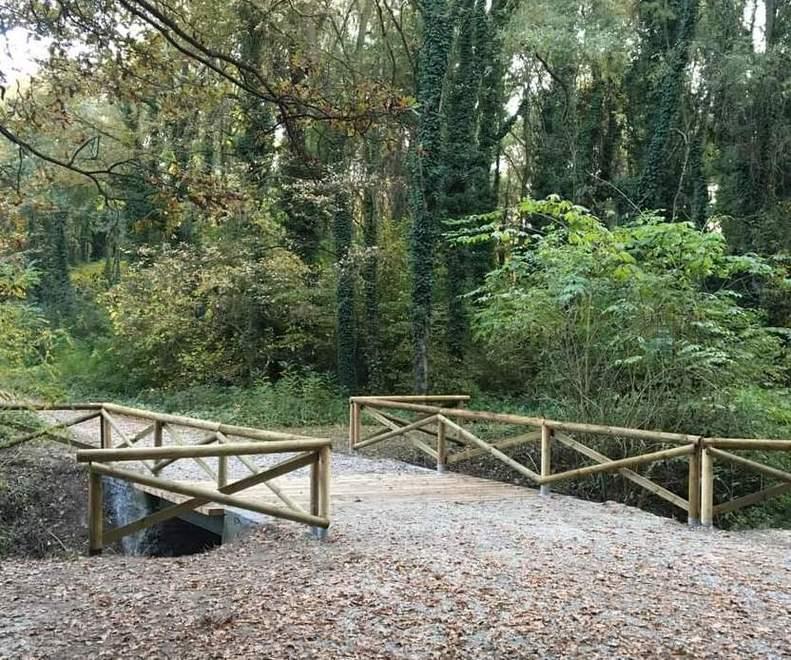 Al bosco della Panfilia nuovi ponti e arredi Per renderlo più agibile 