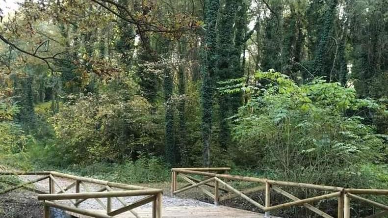 Al bosco della Panfilia nuovi ponti e arredi Per renderlo più agibile