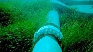 I dati dell’Asa: sgorga nell’isola d’Elba solo il 30% dell’acqua che consumiamo