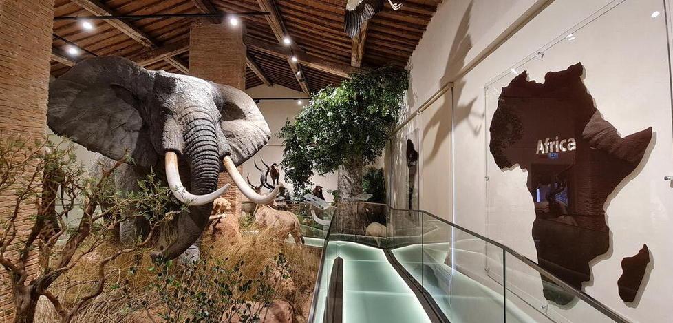 Una nuova Sala della Biodiversità all’interno del Museo di Storia Naturale 