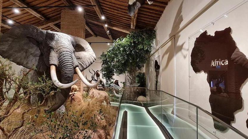 Una nuova Sala della Biodiversità all’interno del Museo di Storia Naturale