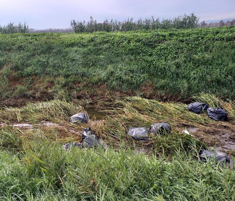 Discarica abusiva nella riserva del Padule 
