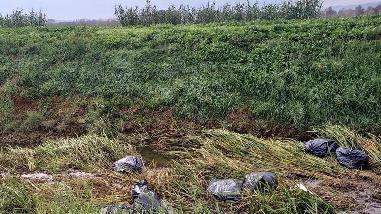 Discarica abusiva nella riserva del Padule